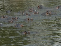 Western_Corridor_(Kirawira)2003-075